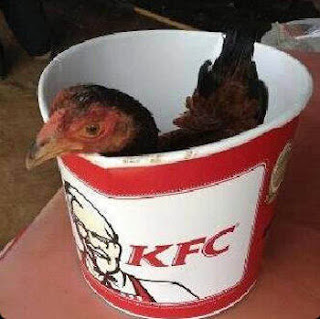 kfc ayam asli