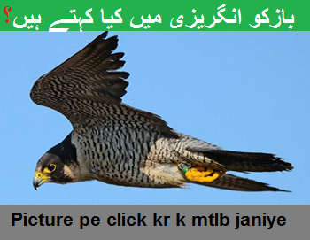 000000 at zzah6 25u com 000000 at zzah6 25u com