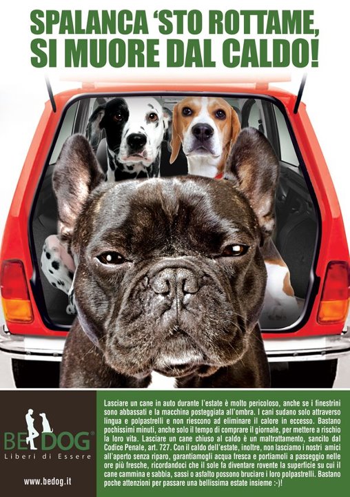 NON LASCIATE I CANI IN AUTO