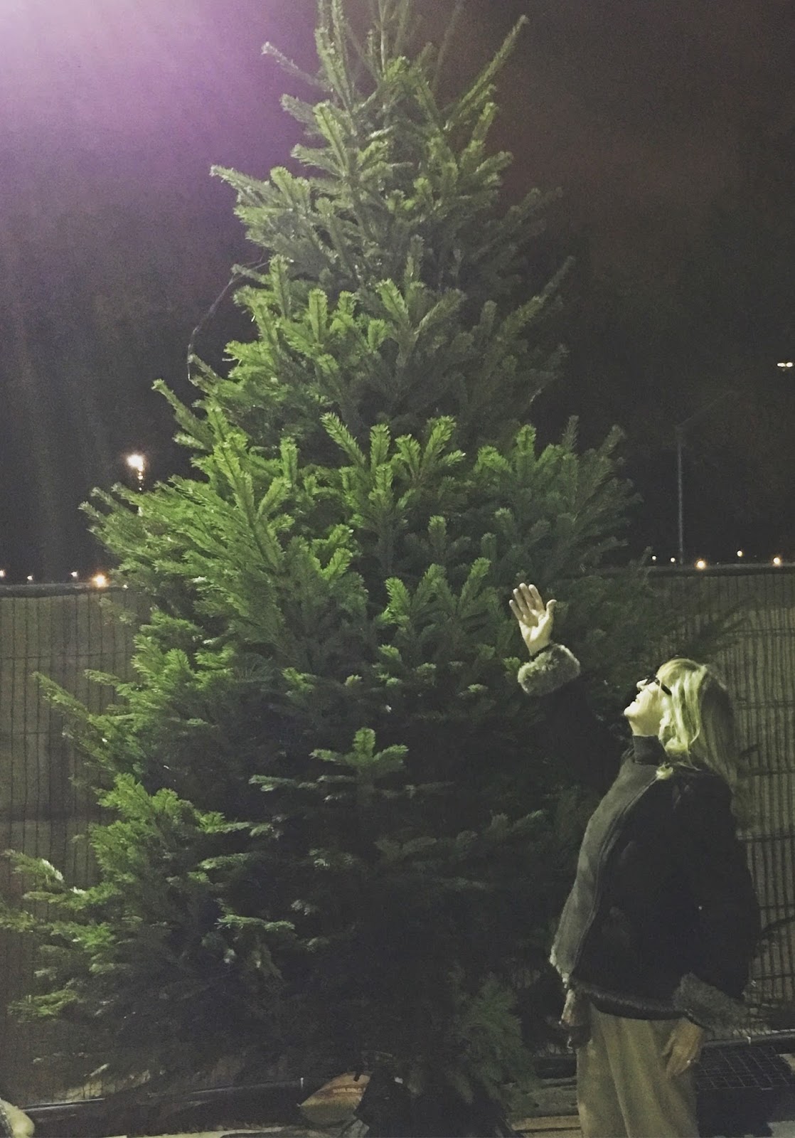 Treetastic delivery service from Pines and Needles Christmas Tree