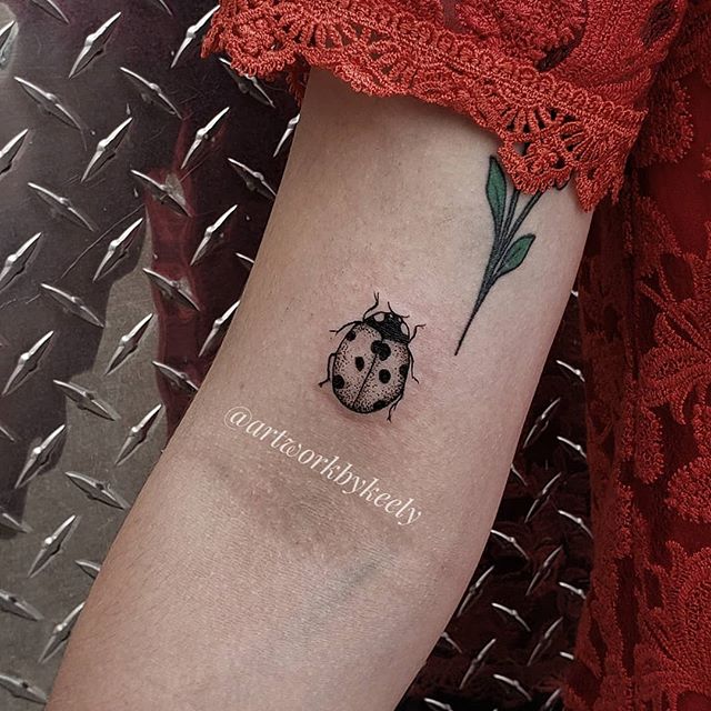 Ladybug Tattoo Ideas