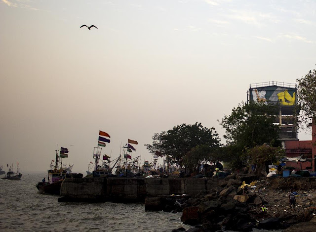 sassoon docks, mumbai, fishing boats, arabian sea, india, dawn, calm