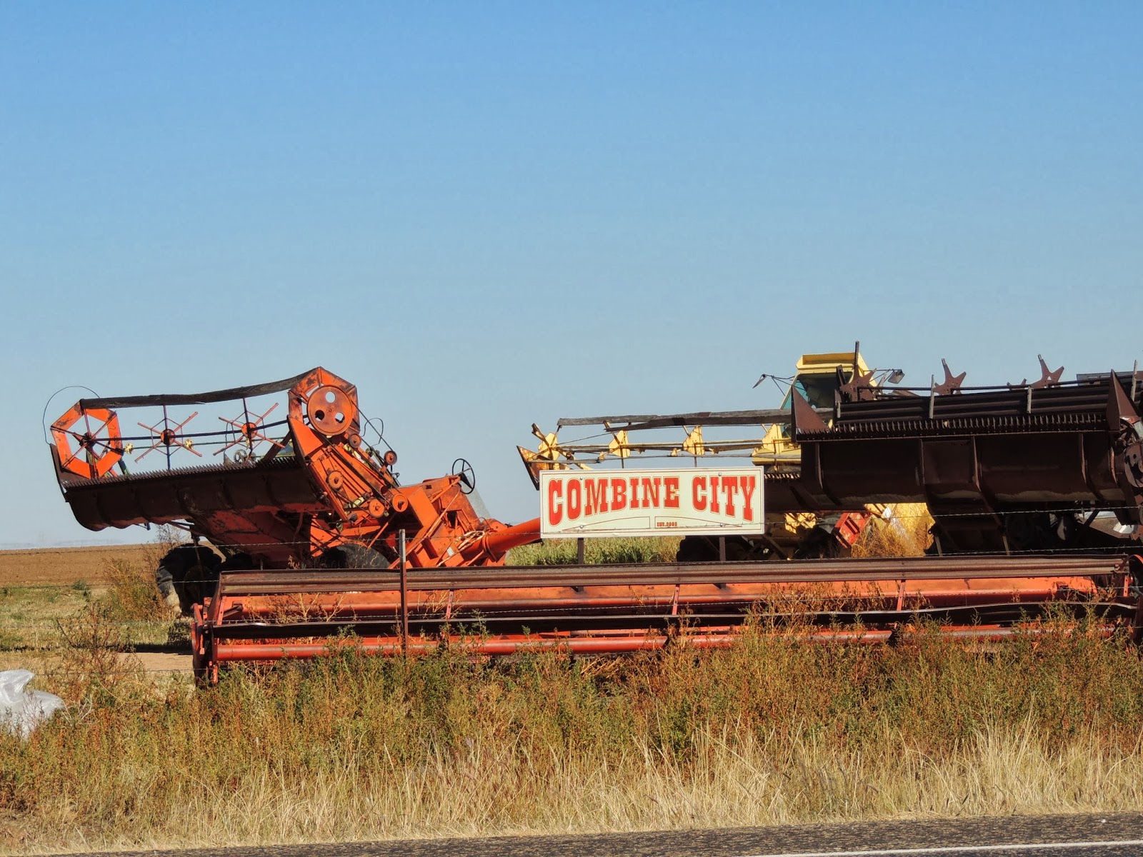 Elaine Littau, Author We Took These Pictures Between Claude, TX and