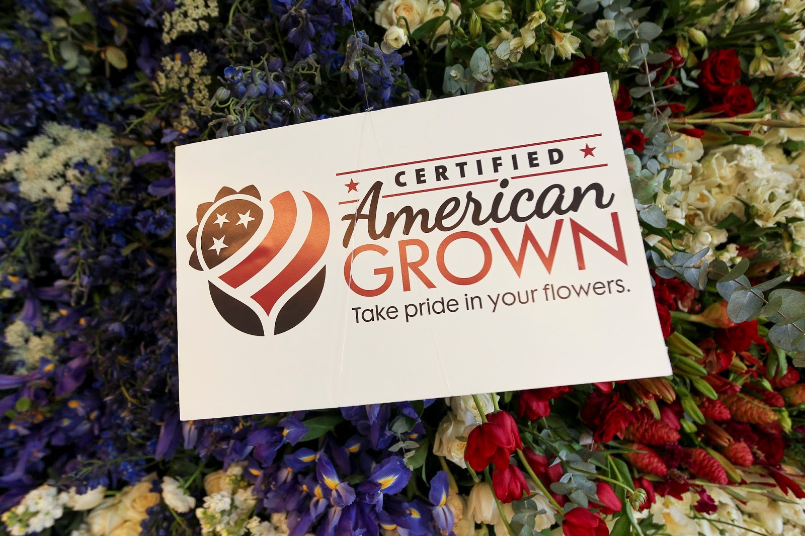 American Flowers Week 2017 Sun Valley