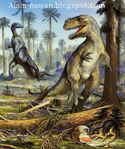 75+ Gambar Macam2 Dinosaurus Kekinian