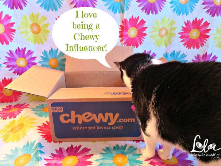 Instinct by Nature's Variety|Chewy Influencer