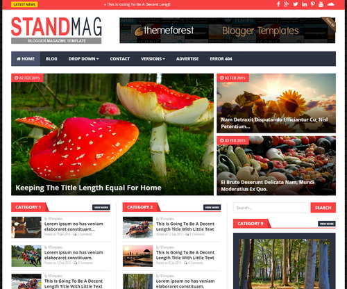 Stand Mag Blogger Template