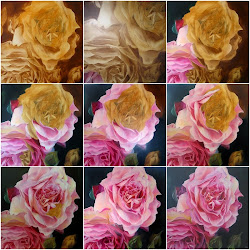 step rose kiss oil canvas paintings process painting metres serenity