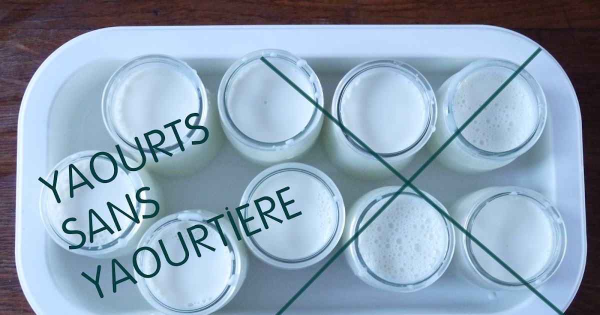 La Transition des castors Yaourts maison sans yaourtière