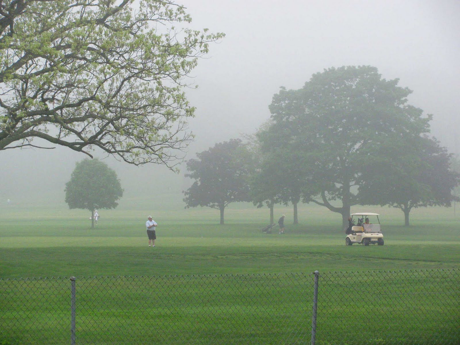 golfing in fog
