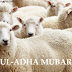 EID-UL-ADHA MUBARAK IMAGES
