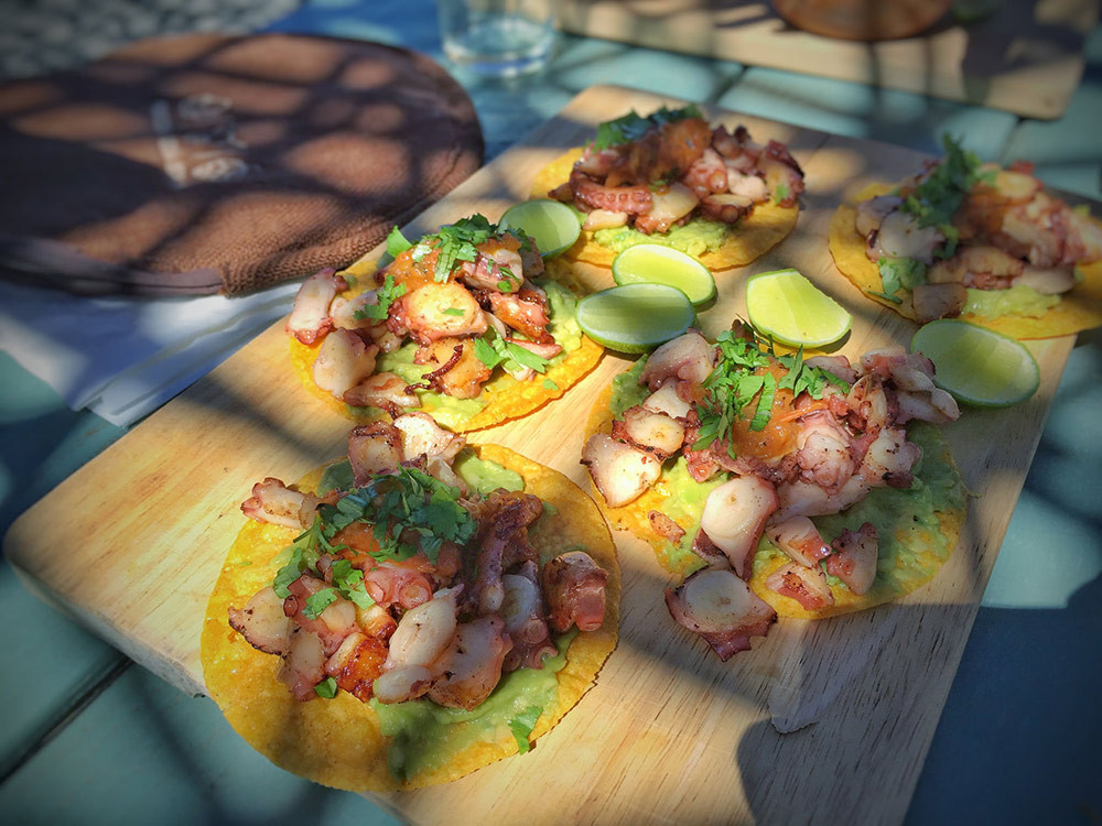 Notas del Valle de Guadalupe Shout Out Luxury Travels