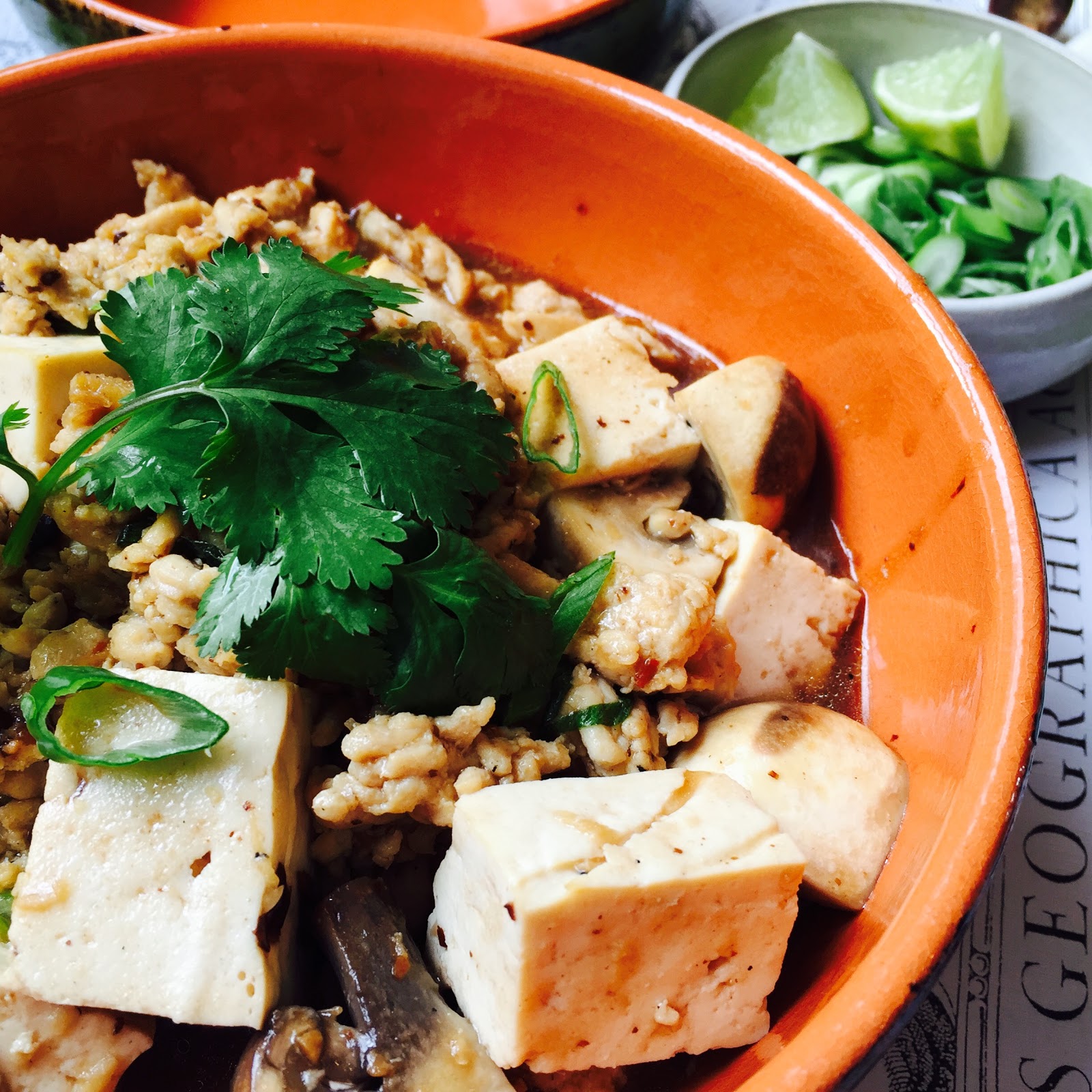 dough-re-me: Mapo Tofu (Asian Cuisine)