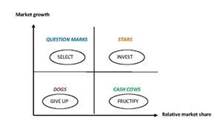 bcg portfolio matrix bcg portfolio matrix