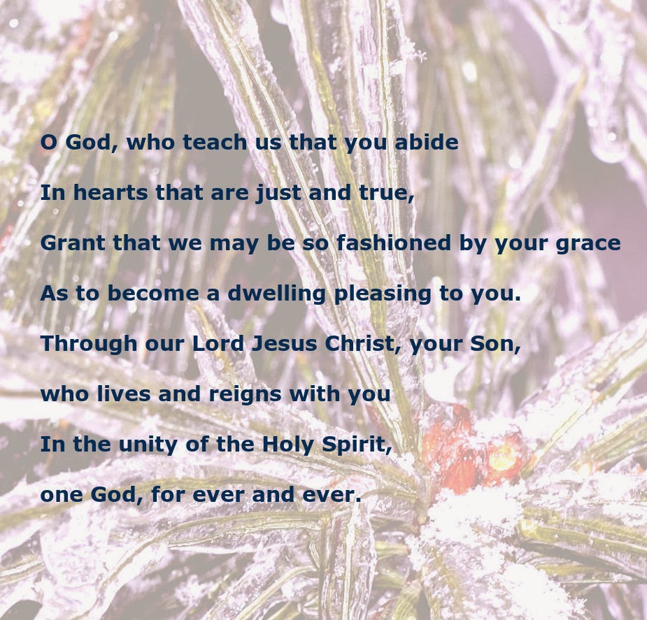 Daily Homilies Sixth Sunday in Ordinary Time