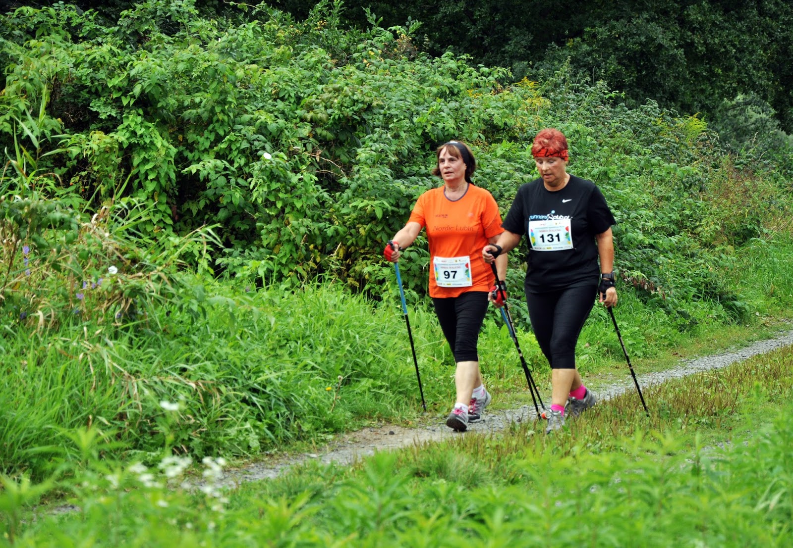 Coursework na polski 04 picture