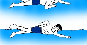 Teknik Gerakan Ayunan Tangan Renang Gaya Bebas Lengkap Penjasorkes