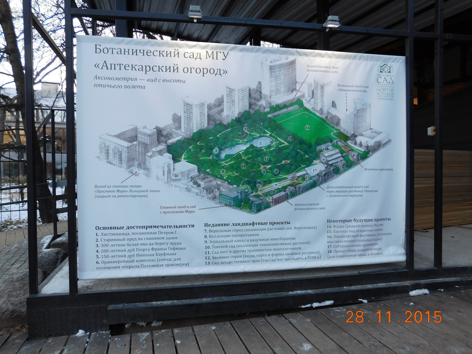 Сакура аптекарский огород схема