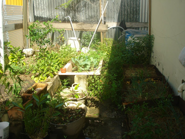 A Pot Garden