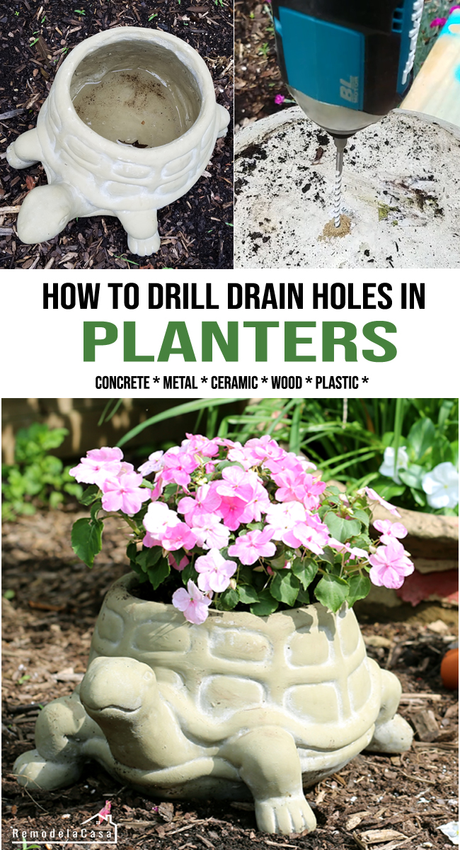 A hole at the bottom of a planter is critical for healthier plants 
