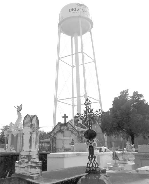 Living Rootless Delcambre, Louisiana A Second Look