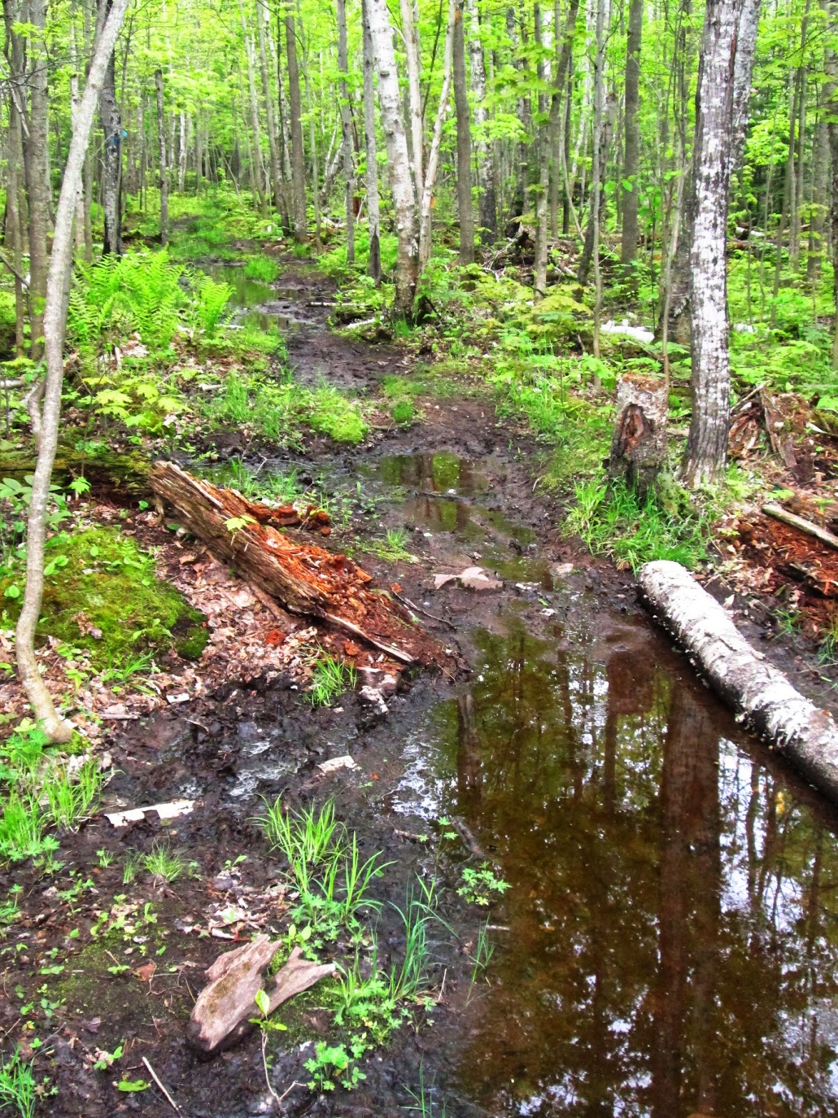 Cliffs And Ruins Porcupine Mountains 2014 Day 2 Buckshot To Big