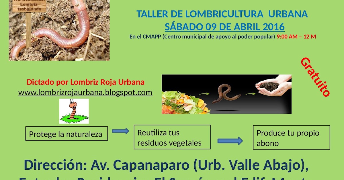 Si es posible castrar al gato con las lombrices