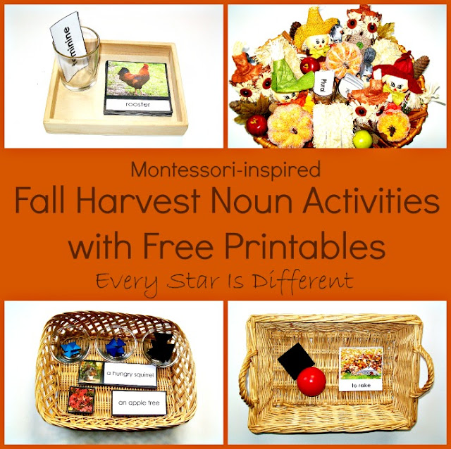 Fall Harvest Noun Activities