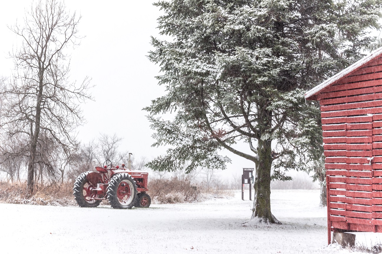 Waunablog Snowy Afternoon at the Farm