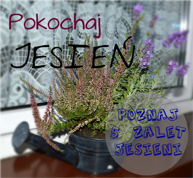 http://raisin1989.blogspot.de/2013/09/pokochaj-jesien-o-zaletach-jesieni.html