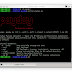 Payday - Payload generator that uses Metasploit and Veil