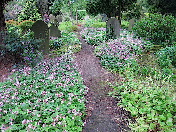 Bolton Percy churchyard