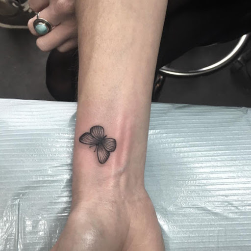 Esta pequena borboleta no pulso