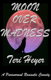 MOON OVER MADNESS by Teri Heyer