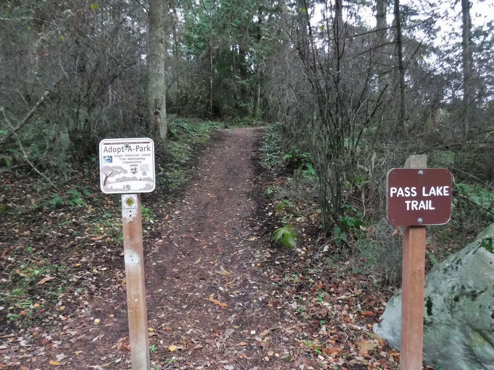 Hears Different Drummer Bowman Bay hike