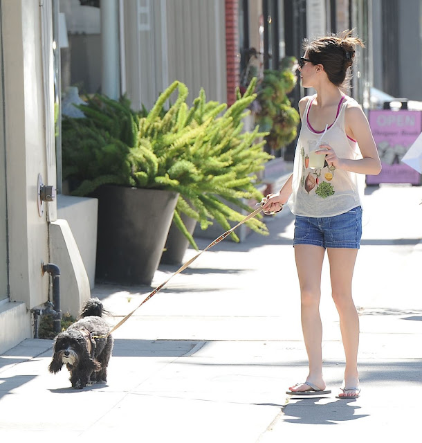miranda cosgrove fans peru walks her dog out in los angeles penelope puppy perro icarly