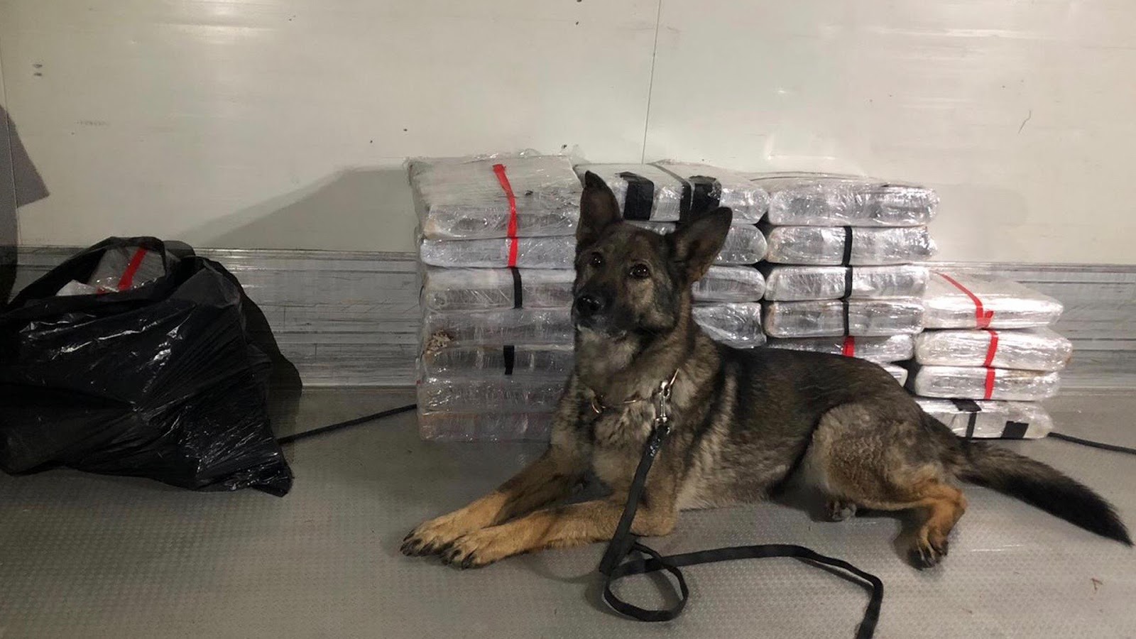 Dickydackel Blog Tag Der Selbsthilfe In Munster Ich War Mit