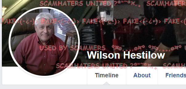 scamhaters united hestilow contact from these pictures is fake