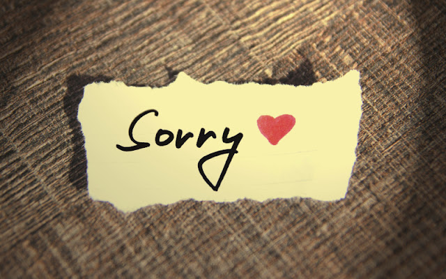 how to apologize curiosities