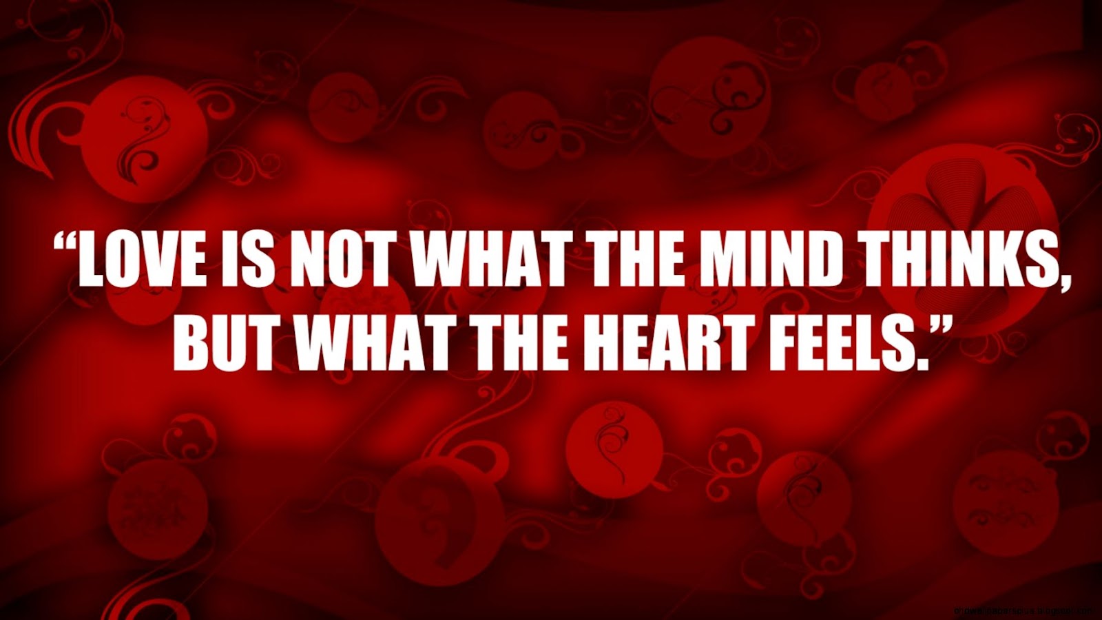 Love Quotes for Him From the Heart