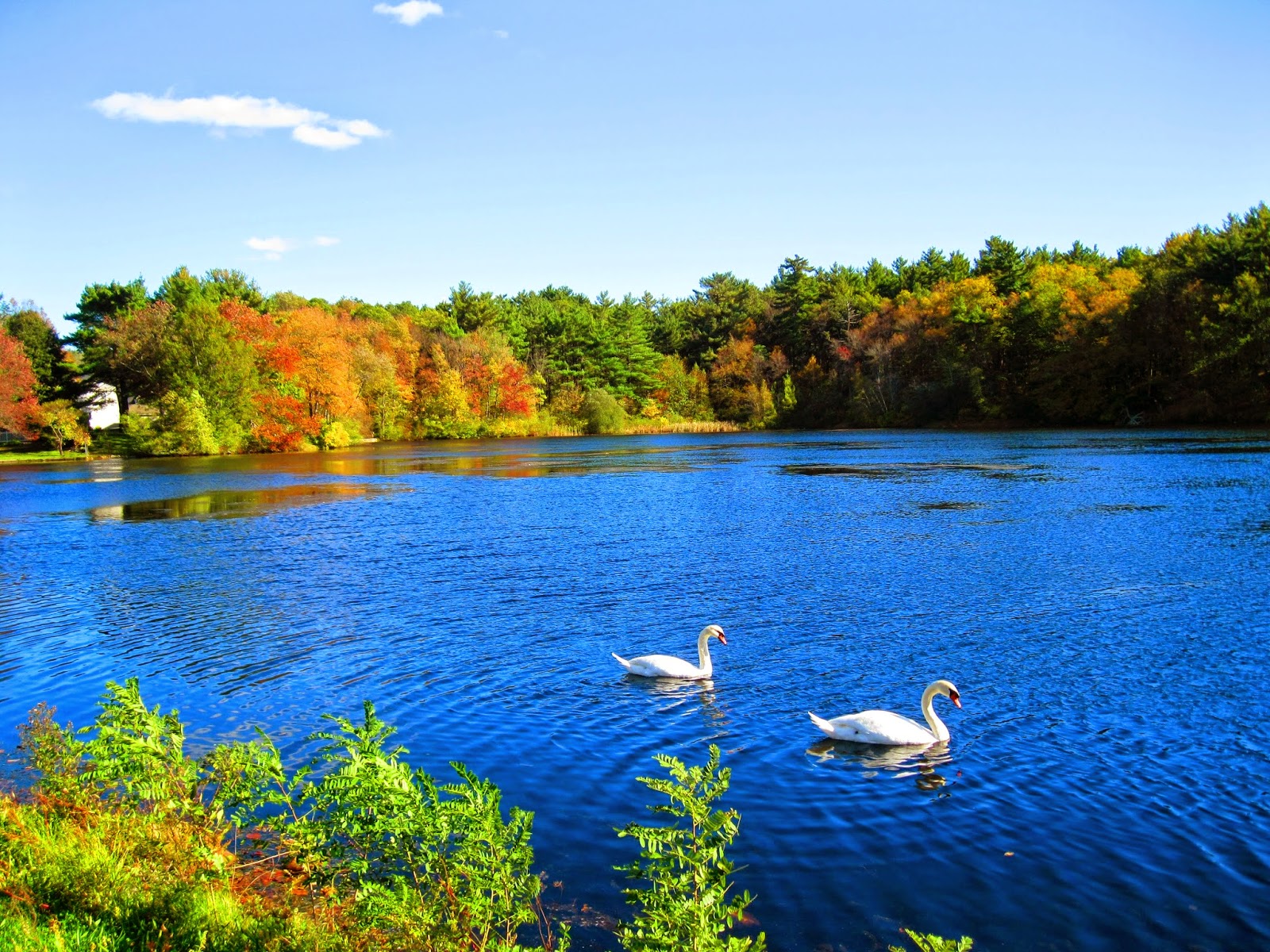 New england in october weather