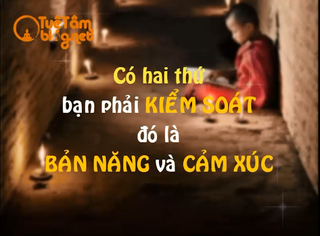 Có 2 thứ bạn phải kiểm soát, đó là bản năng và cảm xúc.