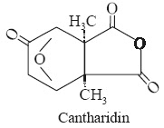 cantharides