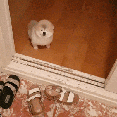 2.gif
