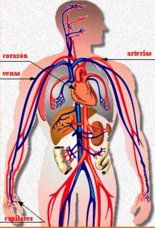UCEIES Benjamin de Tudela 2013/14 EL