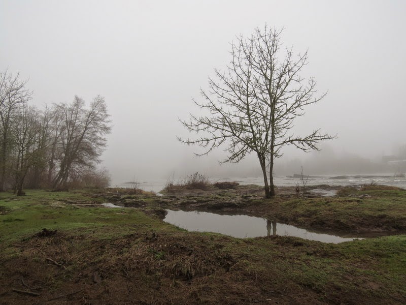 Photos by Jan Off D Street in Springfield,Oregon/Then Day Island Park