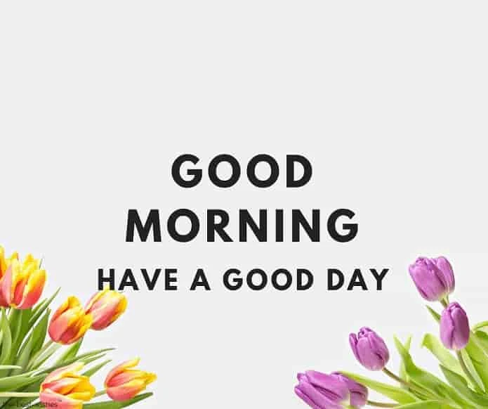 good morning have a good day