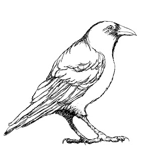 Crow Clip Art :: Line Drawing :: Outline