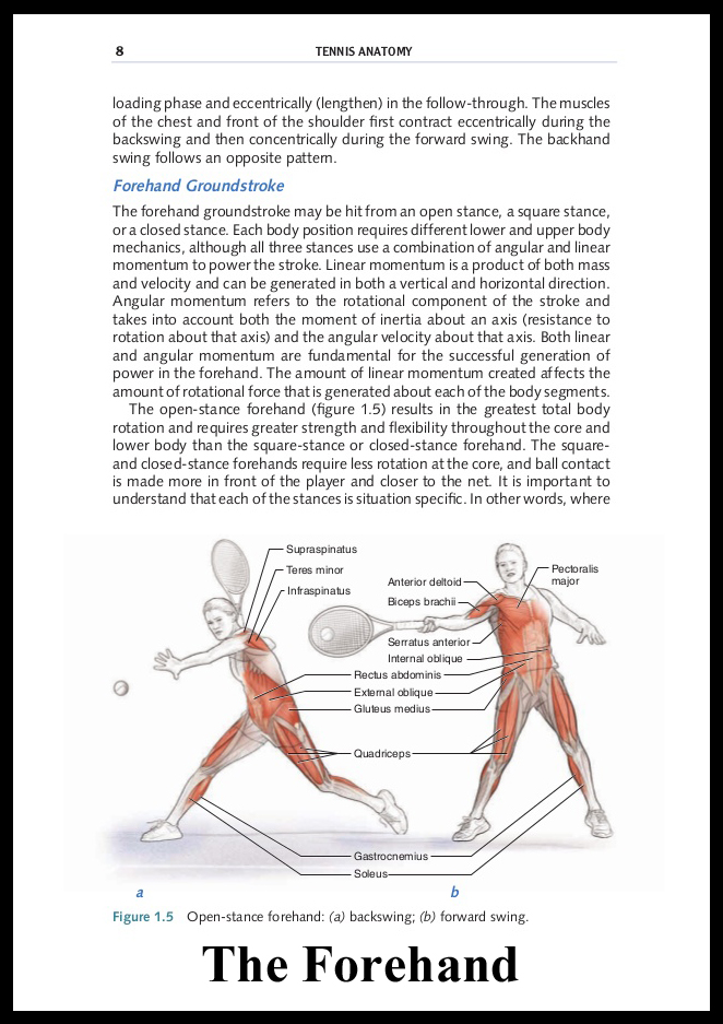 TIMELESS TENNIS Tennis Book & Topic of the Day Tennis Anatomy