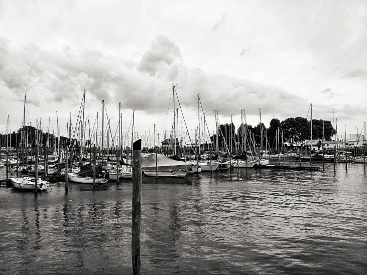 Yacht Club Olivos Visto en Baires